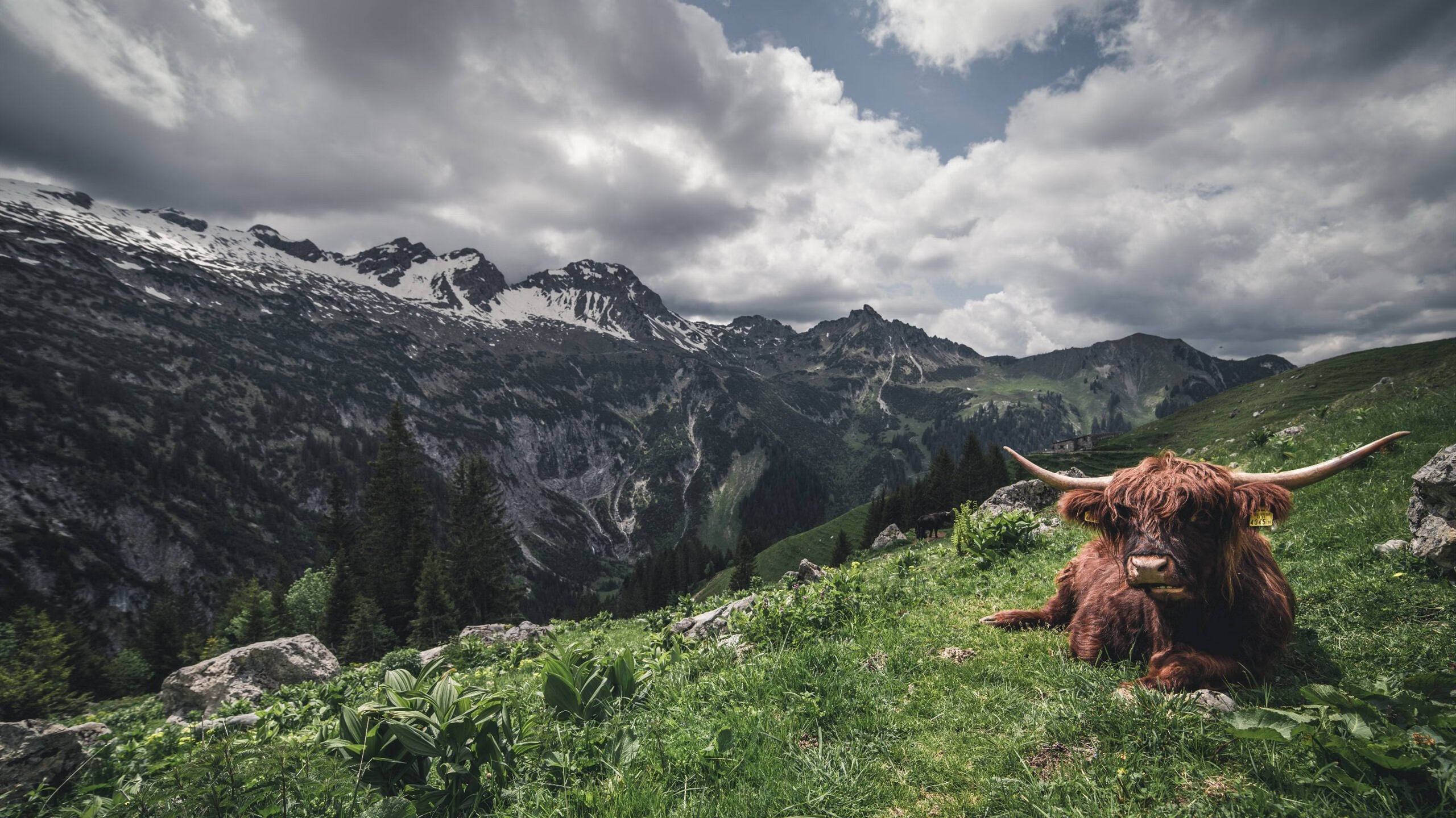 开云体育登入-“青训科技持续升级，引入虚拟现实训练提升训练效果”，青训训练内容